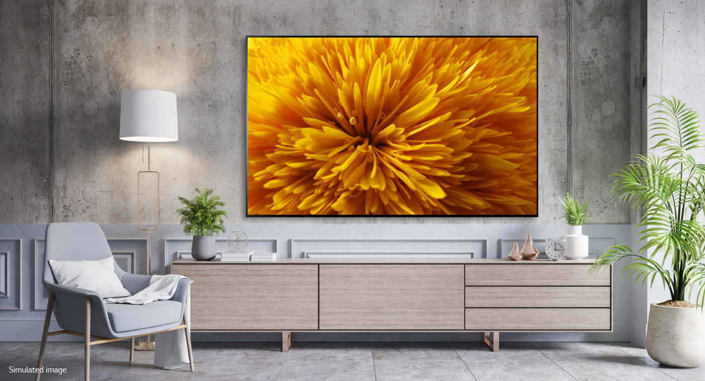 LG OLED C2